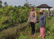 Aksi Bhabinkamtibmas Desa Kuranji Dalang Kawal Pertanian Lombok Barat